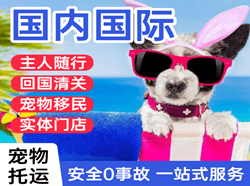 大连周水子机场物流国际宠物托运 【国